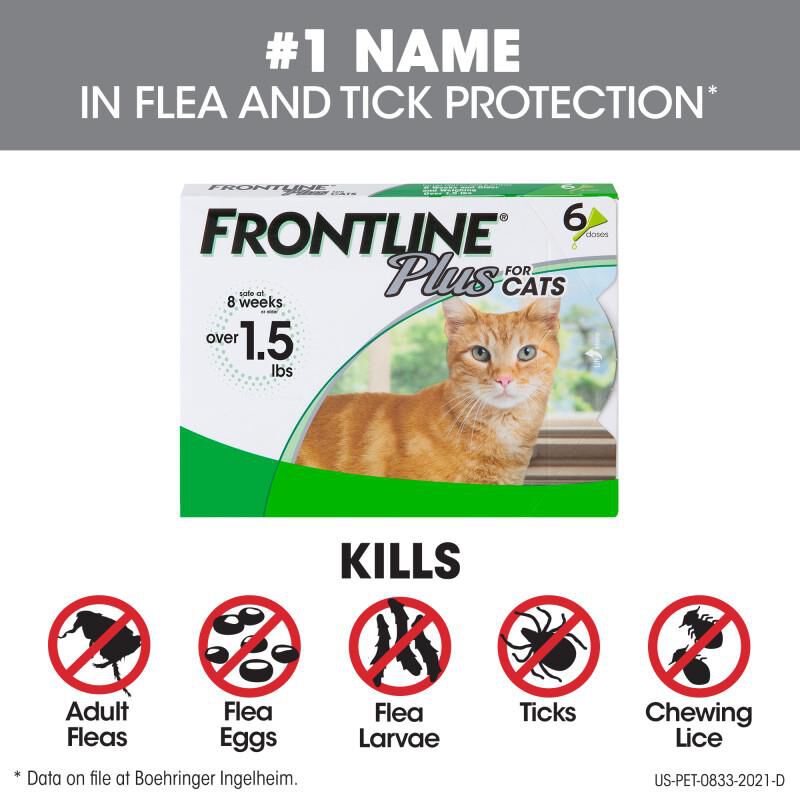 Frontline plus for cats new arrivals 6 doses
