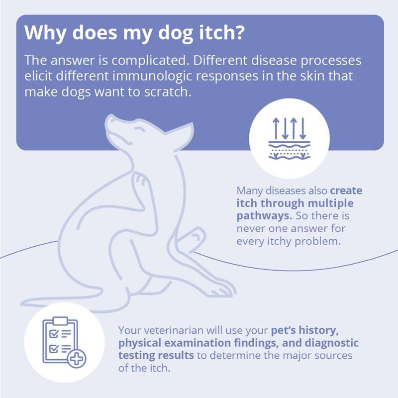 MiconaHex Triz Wipes 50 ct