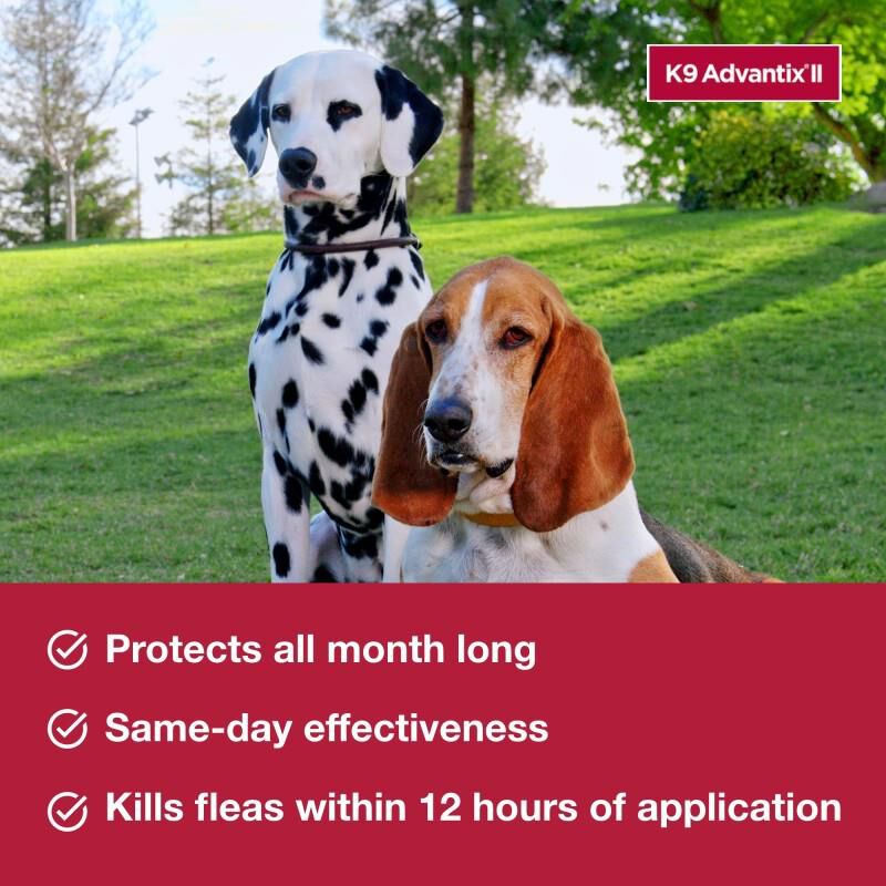 K9 Advantix II for Dogs 21 - 55 lbs Red, 1 Month Supply