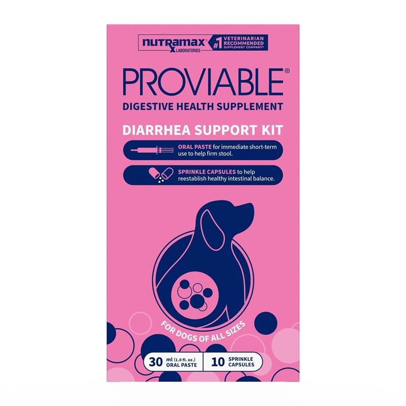 Proviable KP 30 ml Paste + 10 Caps for Dogs
