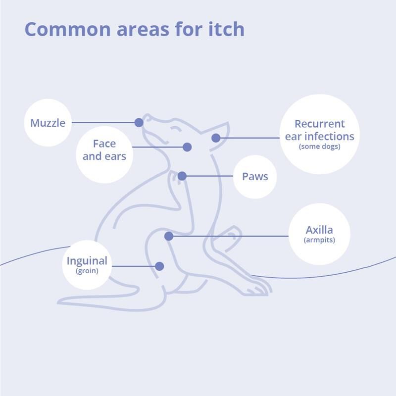 MiconaHex Triz Wipes 50 ct
