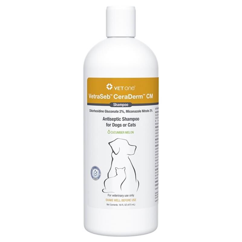 Apoquel shampoo outlet