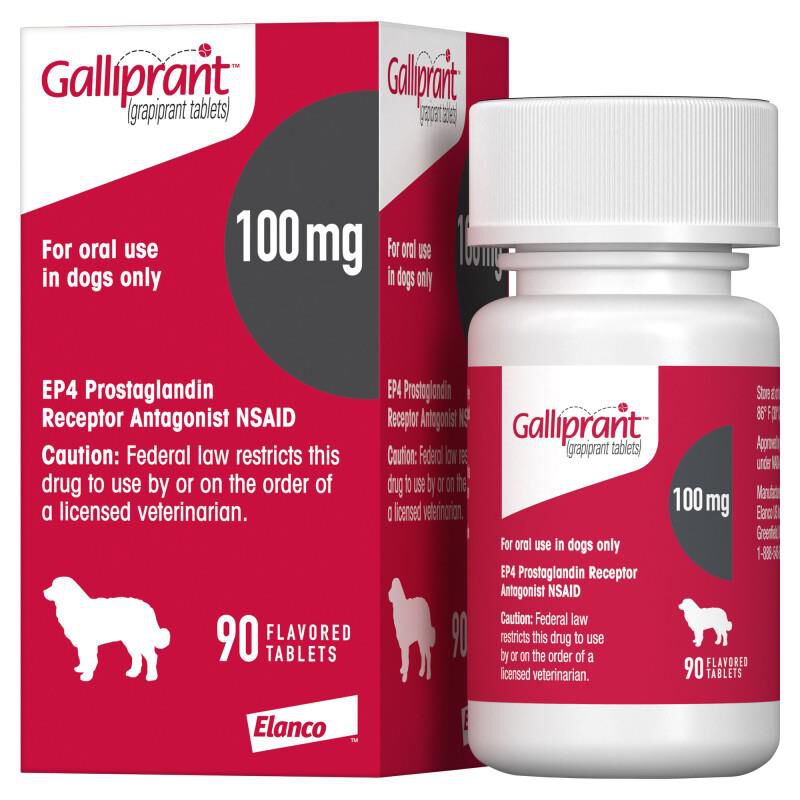 Galliprant Tablets for Dogs 100 mg, 90 Ct.