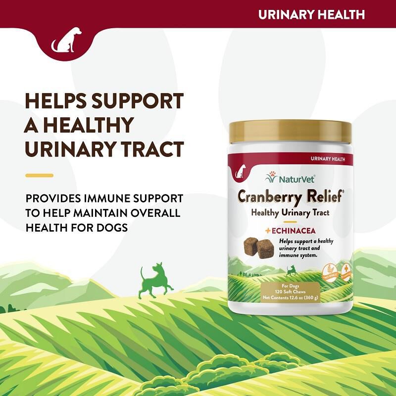 NaturVet Cranberry Relief Healthy Urinary Tract Plus Echinacea Soft Chews for Dogs, 120 Ct.