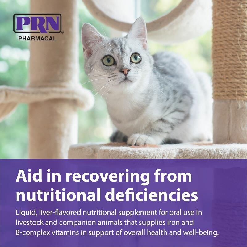 PRN Pharmacal, Inc. Liqui-Tinic 4x Vitamin Supplement for Dogs and Cats, 2 oz