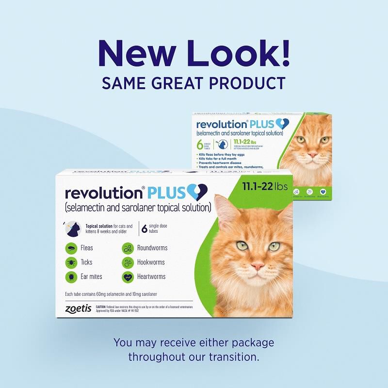 Revolution Plus for Cats 11.1-22 lbs Green 6 Month Supply