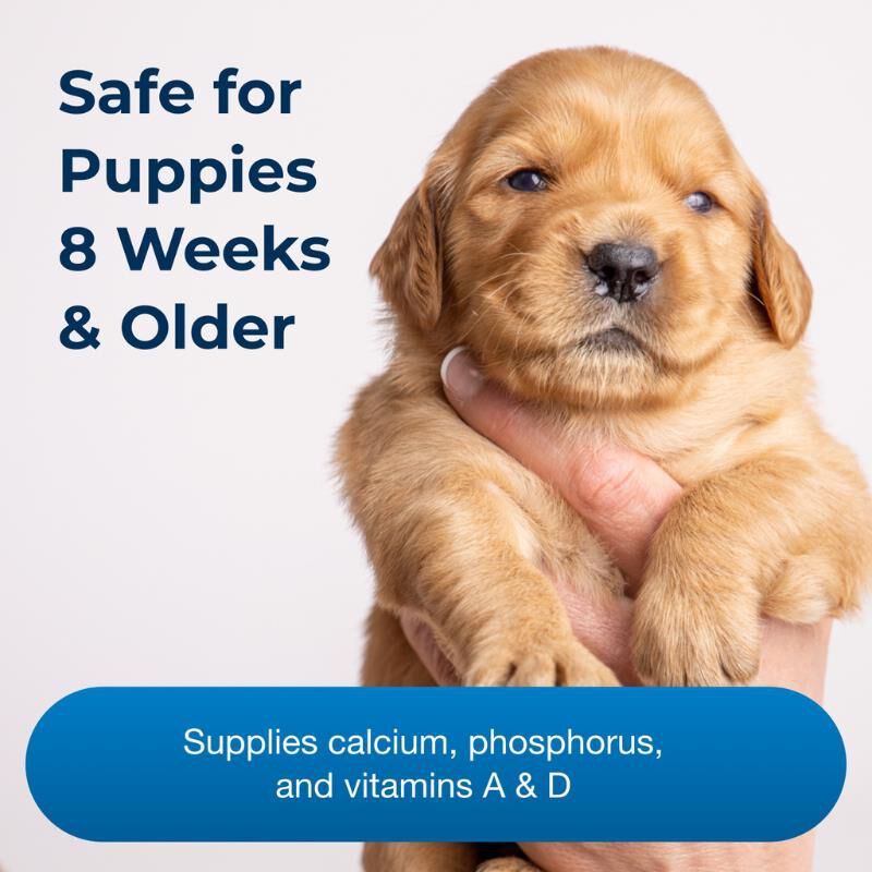 PetAg Sure Grow 100 Vitamin Puppy Supplement, 100 chewable tablets