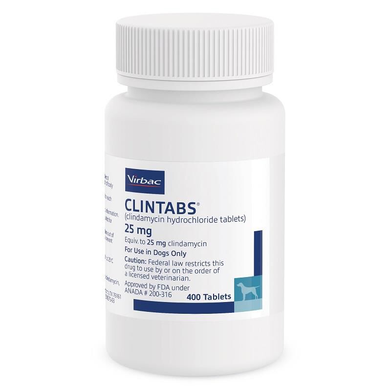 Clintabs (Clindamycin)