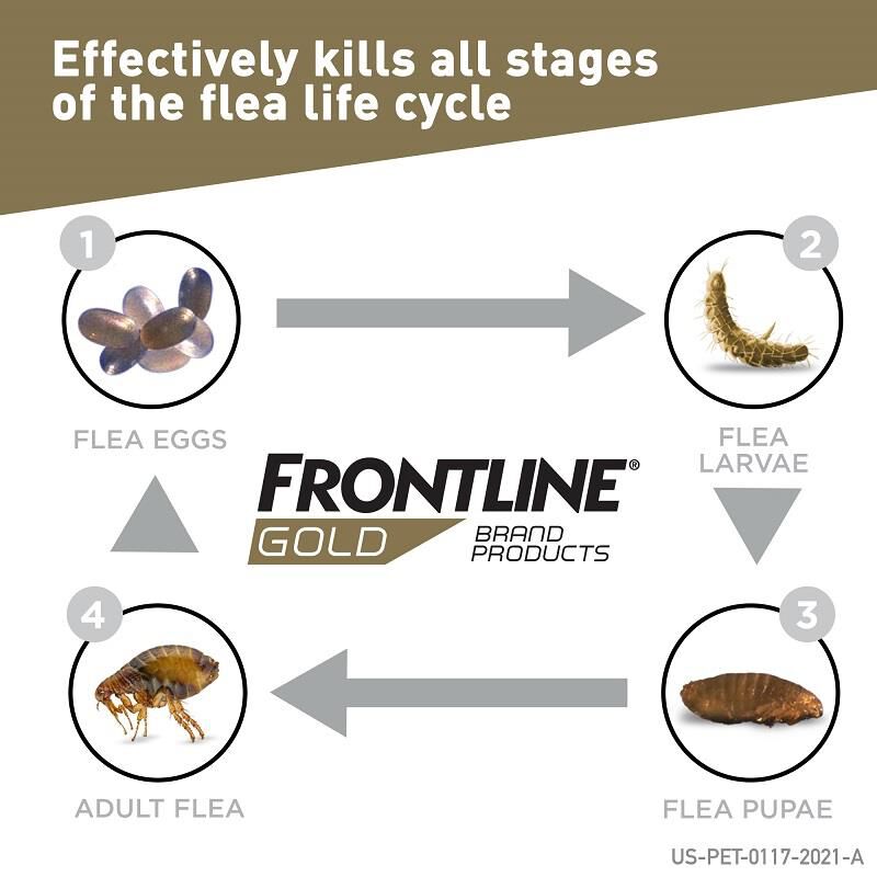 Frontline Gold for Dogs and Puppies 5 - 22 lbs Orange, 3 Month Supply