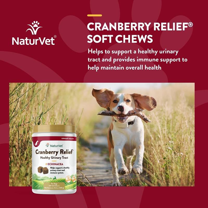 NaturVet Cranberry Relief Healthy Urinary Tract Plus Echinacea Soft Chews for Dogs, 120 Ct.