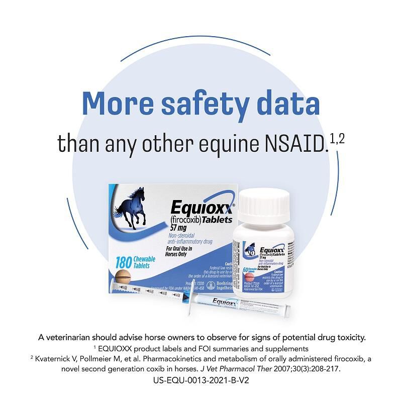Equioxx Oral Paste