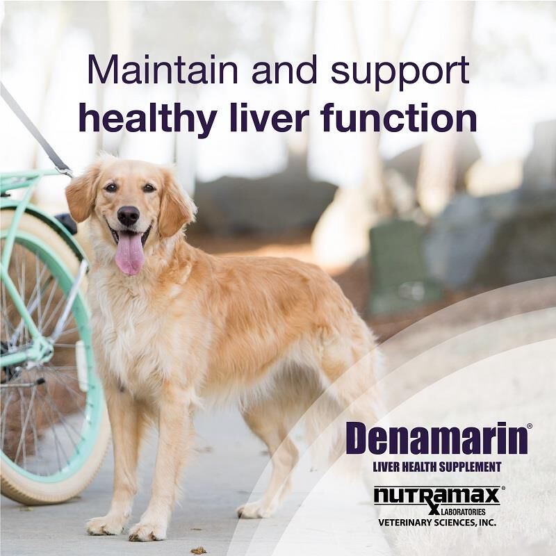 Denamarin Large Dogs 30 Ct. (Blister Pack Box)