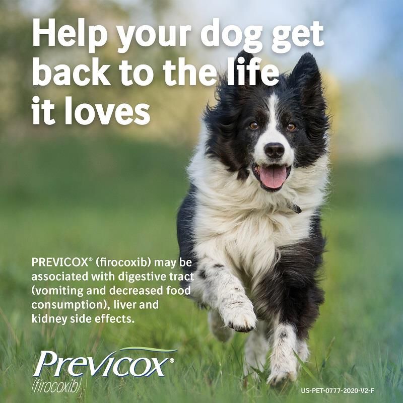 Previcox Chewable Tablets for Dogs 57 mg, 60 Ct.