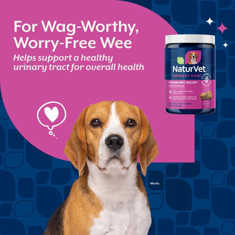 NaturVet Cranberry Relief Healthy Urinary Tract Plus Echinacea Soft Chews for Dogs, 120 Ct.