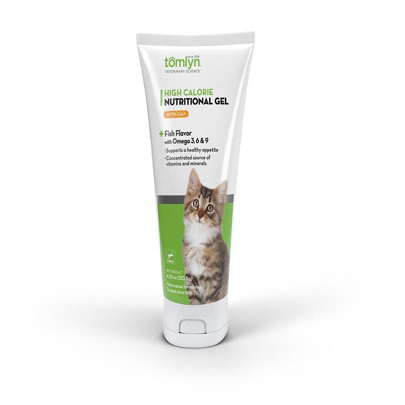 Iron supplements for kittens online