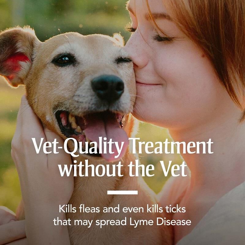 PetArmor Plus Flea and Tick Prevention for Medium Size Dogs (23 to 44 Pounds) Topical, 6 Monthly Treatments