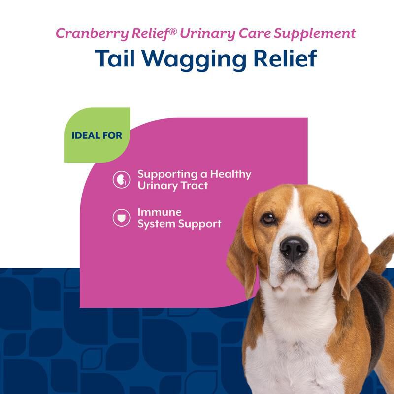 NaturVet Cranberry Relief Healthy Urinary Tract Plus Echinacea Soft Chews for Dogs, 120 Ct.