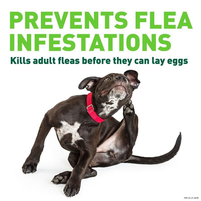 Credelio Flea Tick Chewable Tablets For Dogs Puppies Farm