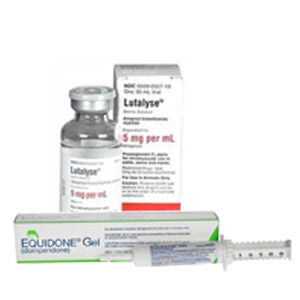 Estrus & Luteolytic