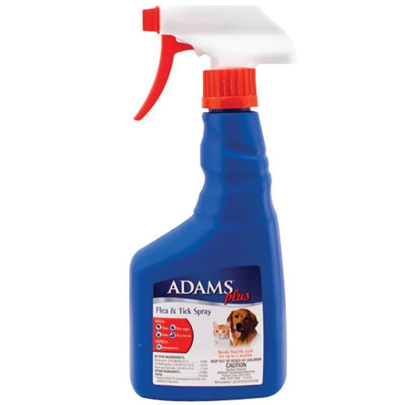 Dog Flea Spray