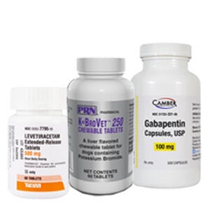 Epilepsy & Seizure