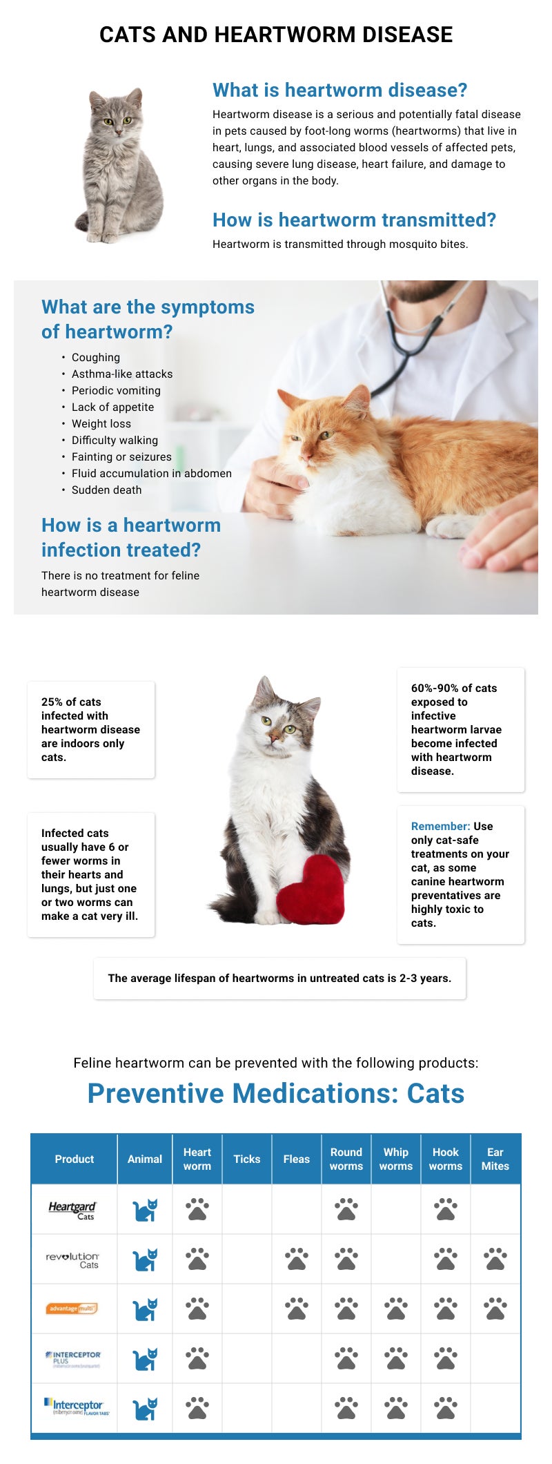 Cat Heartworm Chart